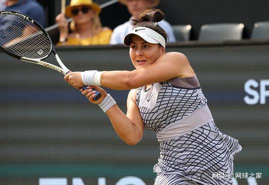 呈现给公众 呈现给公众